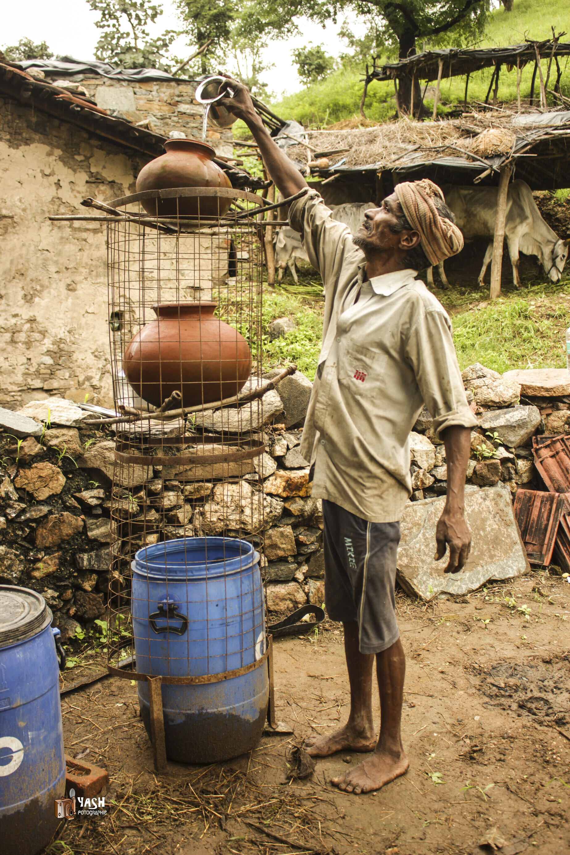 LIVELIHOOD